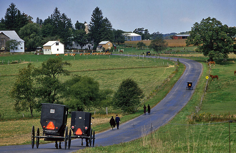 Amish Buggies in Maryland No. 2.jpg